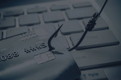 phishing insights